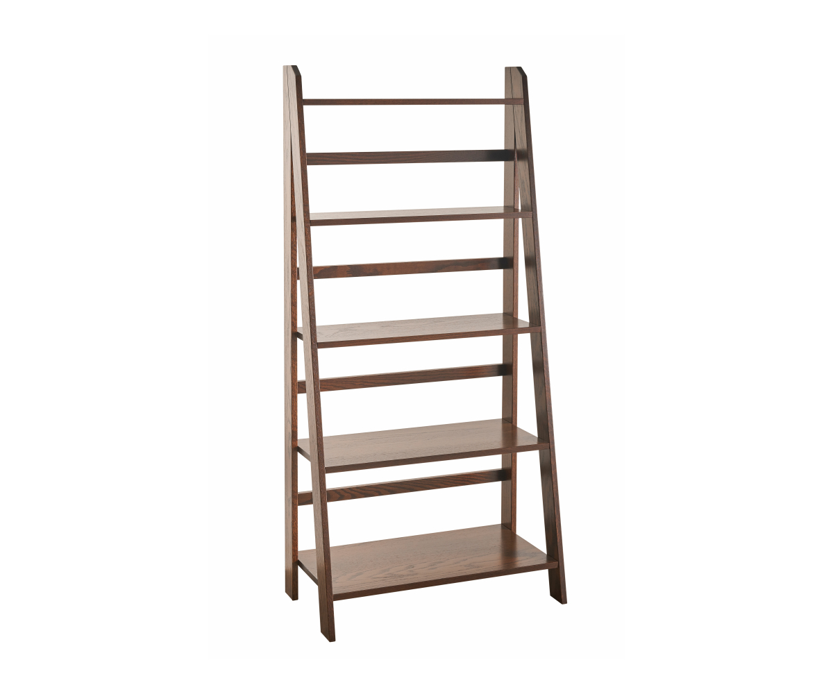 Ladder Bookshelf • TC Amish Home