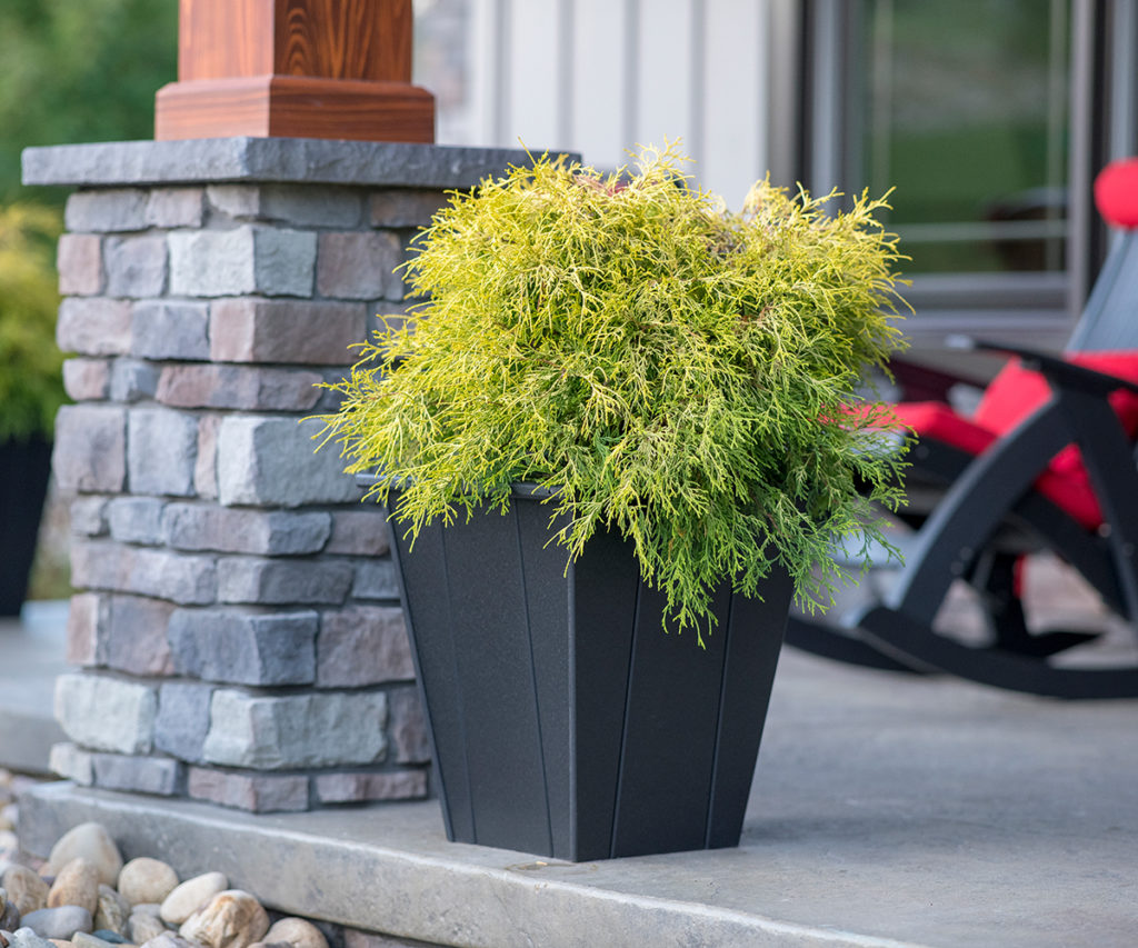 Elite Planter • TC Amish Home
