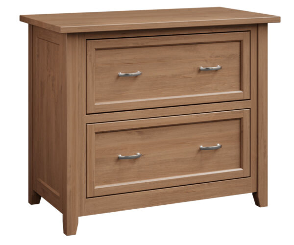 Premier Lateral File